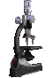 gify nauka