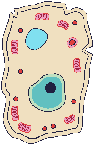 gify medycyna