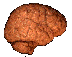 gify medycyna