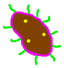 gify medycyna