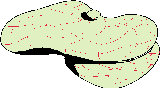 gify nakrycia głowy