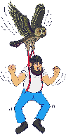 gify drwal