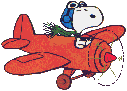 gify pilot