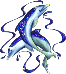 gify delfiny