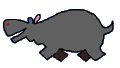gify hipopotamy