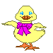 gify kaczki