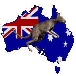 gify kangury