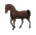 gify konie