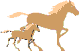 gify konie