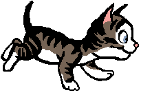 gify koty
