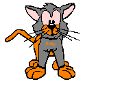 gify koty