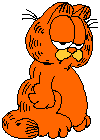 gify koty