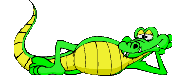 gify krokodyle