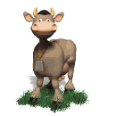 gify krokodyle