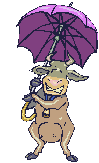 gify krokodyle