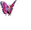 gify motyle