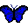 gify motyle