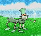 gify mrówki