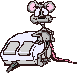 gify myszy