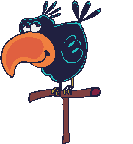 gify papugi