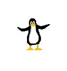 gify pingwiny