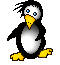 gify pingwiny