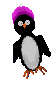 gify pingwiny