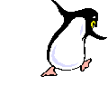 gify pingwiny