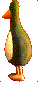 gify pingwiny
