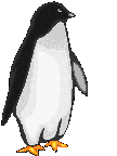 gify pingwiny