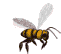gify pszczoły