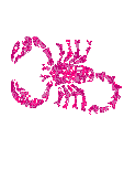 gify skorpiony