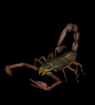 gify skorpiony