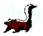 gify skunksy