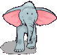 gify słonie