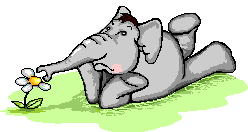 gify słonie