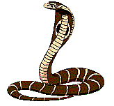 gify węże