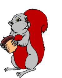 gify wiewiórki