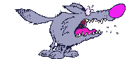 gify wilki