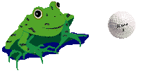 gify żaby