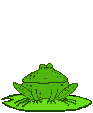 gify żaby