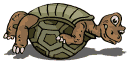 gify żółwie