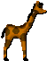 gify żyrafa