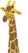 gify żyrafa